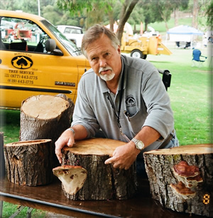 Robert Walton